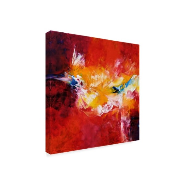 Aleta Pippin 'Believe In Magic' Canvas Art,24x24